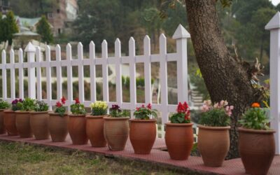 Best Things to Do Near Kumarhatti and Kasauli During Your Stay